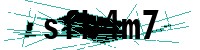 Security verification captcha