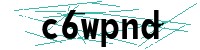 Security verification captcha