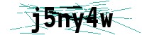 Security verification captcha