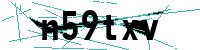 Security verification captcha
