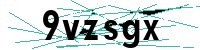 Security verification captcha
