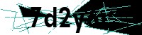 Security verification captcha