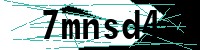 Security verification captcha