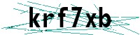 Security verification captcha