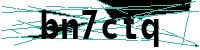 Security verification captcha