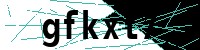 Security verification captcha