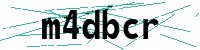 Security verification captcha
