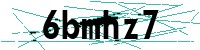 Security verification captcha