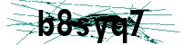 Security verification captcha