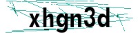 Security verification captcha
