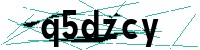 Security verification captcha