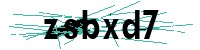 Security verification captcha