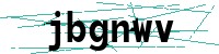 Security verification captcha