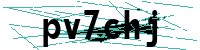 Security verification captcha