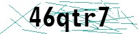 Security verification captcha