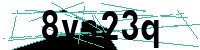 Security verification captcha