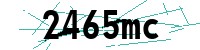 Security verification captcha