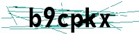 Security verification captcha