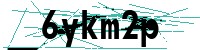 Security verification captcha