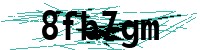 Security verification captcha