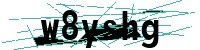 Security verification captcha