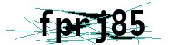 Security verification captcha