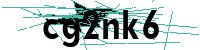 Security verification captcha